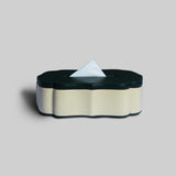 Vintage retro tissue box displayed on desk home decor - The Mage Home