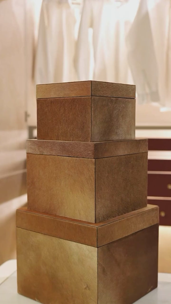 Hairon Wardrobe Boxes (Set of 3)