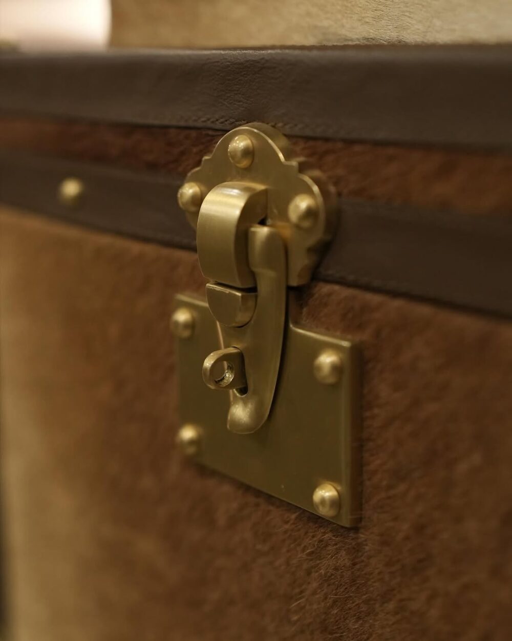 Hairon Leather Trunk - Image 4