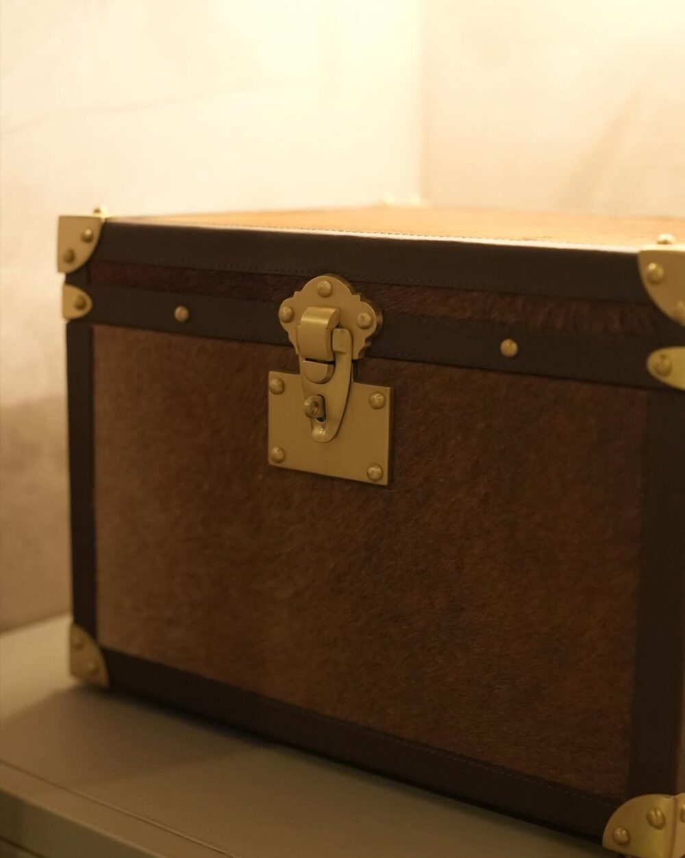 Hairon Leather Trunk - Image 3