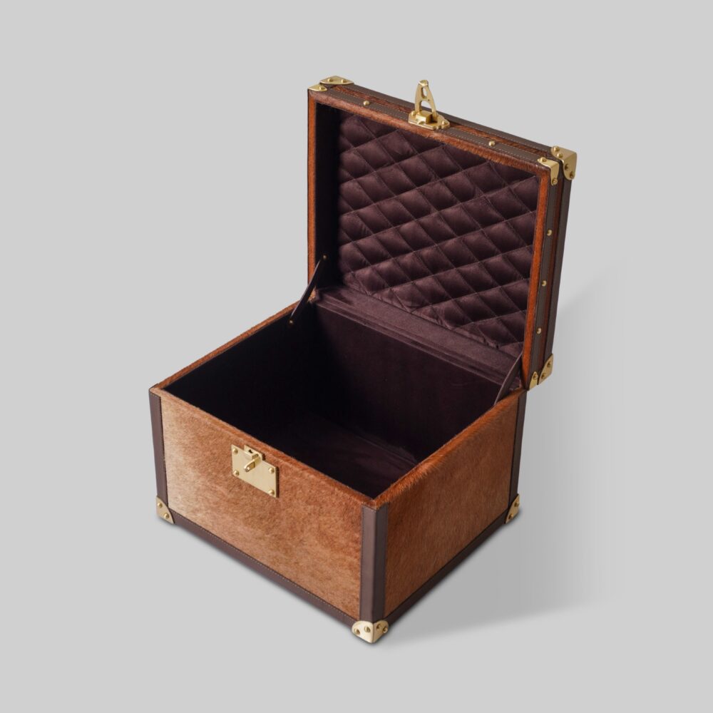 Hairon Leather Trunk - Image 5