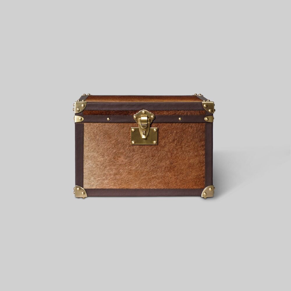 Hairon Leather Trunk - Image 10