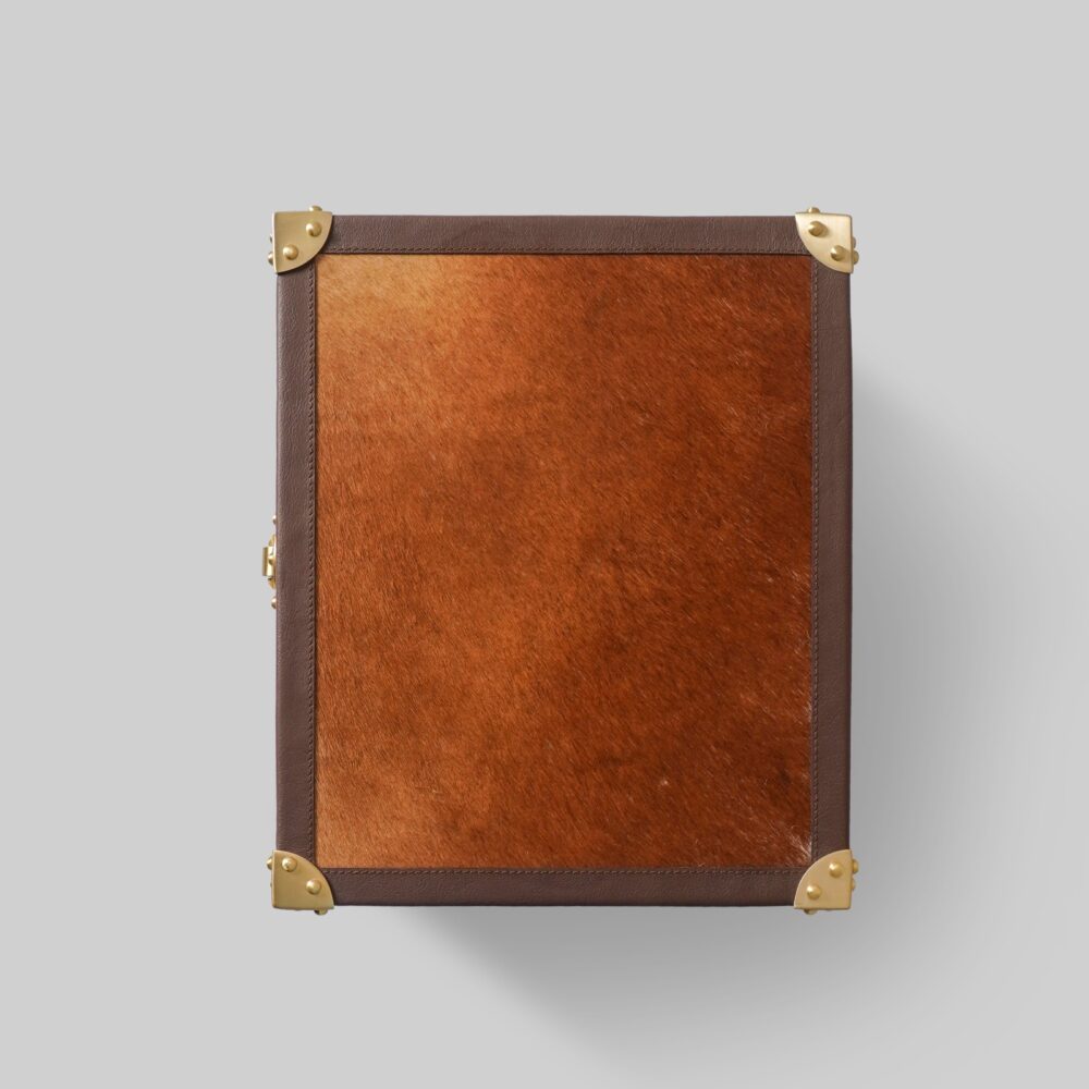 Hairon Leather Trunk - Image 9